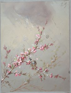 Suunnittelu tapeteille ja tekstiileille: kukkia ja lintuja tekijältä Unknown artist