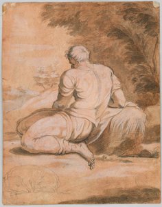 Piirustustutkimus: Narcissus (?) tekijältä Unknown artist