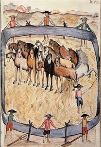 Villihevosten kouluratsastus, kirjasta "Trujillo del Peru" tai "Codex Martinez Companion", Baltazar Martinez Companion ja Bujanda, Trujillon piispa (1782-1785) tekijältä Unknown artist