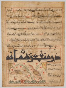 Folio Abu Said Ubaid-Allah ibn Jibrail ibn Bakhtishun (kuoli 1058–68) persialaisesta Manafi