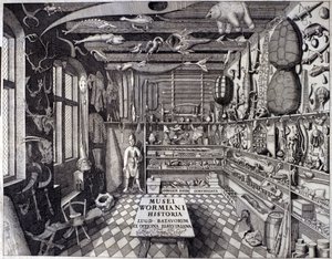 "Musei Wormiani Historia" -elokuva, joka esittää Ole Wormin tai Olaus Wormiuksen uteliaiden kabinetin sisusta tekijältä Unknown artist