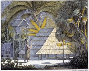 Elinympäristö Radak-saarilla, Marshallinsaarten saaristossa. 1800-luvun kaiverrus. tekijältä Unknown artist