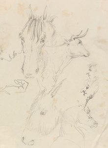 Hevoset, lehmät ja miehet tekijältä Unknown artist