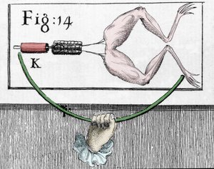 Kuva italialaisen fyysikon ja lääkärin (1737 - 1798) Luigi Galvanin kokeista, jotka selittävät sammakon jalkoja liikuttavan sähkövirran kulkua. tekijältä Unknown artist