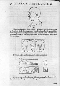 Kuva fysiognomiasta Robert Fluddin (Robertus de Fluctibus) teoksesta "Collection of Works". Lontoo 1617 tekijältä Unknown artist