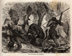 Intian ticuna (Peru), joka hyökkäsi keihällä tiikeriin, joka hyppäsi juuri kanoottinsa ja loukkasi toveriaan, Nhamondas-joen ticunat ovat arvostettuja soturivaimoistaan, joten ensimmäiset matkailijat ja tutkijat, jotka havaitsivat heitä, kutsuivat heitä am tekijältä Unknown artist