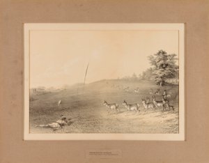 Intiaanit metsästämässä antilooppia - nro 20. tekijältä Unknown artist