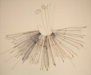 Inka Khipu (kuitutallennuslaite) tekijältä Unknown artist