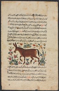 Muut (löydöt), Shahmarda Ibn Abi al-Khairin (forsa) nezhantami-valostuksesta (erinomainen kirja saapumisesta) tekijältä Unknown artist