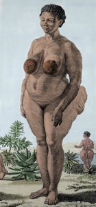 La Venus Hottentote, nainen rotu Bochiman; (The Hottentot Venus,) kaiverrus vuodelta 1815. tekijältä Unknown artist