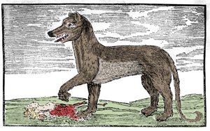 La bete du Gevaudan -kaiverrus ”Pyhän Jaakobin kronikasta” tekijältä Unknown artist