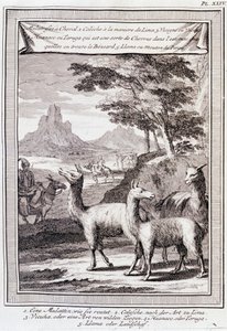 Perun lamat - "" Historiallinen Etelä-Amerikan matka, jonka teki Don George Juan ja Don Antoine de Ulloa Espanjan kuninkaan ritarikunnan toimesta", T.1, C.A. Jombert, Librairie du Roi, Pariisi tekijältä Unknown artist