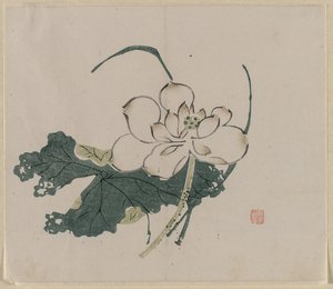 Lotus Blossom tekijältä Unknown artist