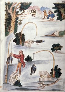 Menetelmä lintujen pyytämiseen lassossa, Trujillon piispan (1782-1785) Baltazar Martinez Compañón y Bujandan kirjasta "Trujillo del Peru" tai "Códice Martínez Compañón" tekijältä Unknown artist
