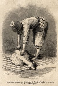Nuoren tatarimiehen leikkaamassa lampaita Schushassa (Transkaukasia, Venäjä). Kaiverrus havainnollistamaan matkaa Kaukasuksen provinsseissa, Basile Vereschaguine, 1864-1865, julkaistu "" le tour du monde" -lehdessä, D