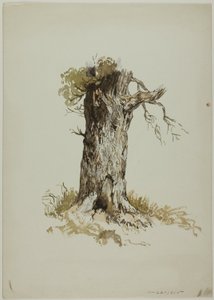 Vanha puunrunko (etusivu); vanha puunrunko (kääntöpuoli). tekijältä Unknown artist