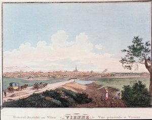Yleiskatsaus Wienin kaupunkiin, jossa on Tonavan ylittävä silta. Itävalta Kaiverrus vuodelta 1830 Yksityiskokoelma tekijältä Unknown artist
