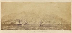 [Panoraama satamasta, Funchal, Madeira] tekijältä Unknown artist