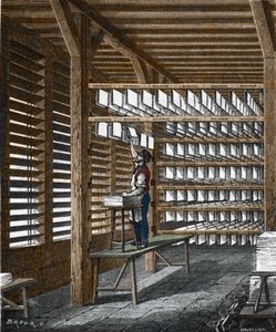 Paperintuotanto 1800-luvulla. tekijältä Unknown artist