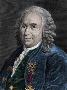 Charles Linnen (Carl von Linne, Linneus 1707-1778), ruotsalaisen luonnontieteilijän muotokuva. Kaiverrus 1800-luvulta. tekijältä Unknown artist