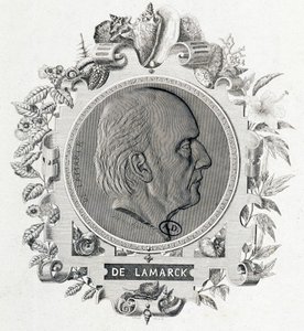 Jean Baptiste Lamarckin muotokuva - kaiverrus tekijältä Unknown artist
