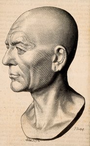 Publius Cornelius Scipio (Afrikkalainen Scipio) Africanuksen muotokuva, roomalainen valtiomies (235-183 eKr.). tekijältä Unknown artist