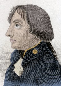 Vara-amiraali Nelsonin muotokuva (Horatio Nelson tekijältä Unknown artist