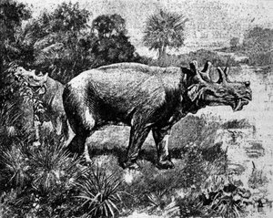 Esihistoria: esitys nelisarvisesta Uintatherium-dinosauruksesta. tekijältä Unknown artist