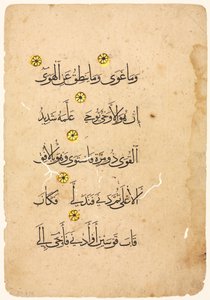 Folio del manuscrit de l