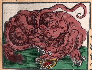 Lohikäärmeen esitys. Kaiverrus Johann Stumpffin teoksesta "Den Ellen Strength Beste Fromen". 1550 tekijältä Unknown artist