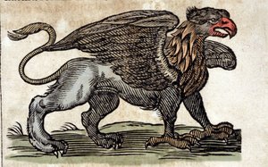 Esitys griffonista, upeasta olennosta, puoliksi kotkasta, puoliksi leijonasta. Kaiverrus Athanasius Kircherin (1601 - 1680), jesuiitta, orientalistin ja tutkijan teoksesta. tekijältä Unknown artist