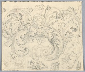 Tutkimus Curling Acanthus Ornamentille tekijältä Unknown artist