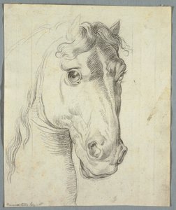 Hevosen tutkimus tekijältä Unknown artist
