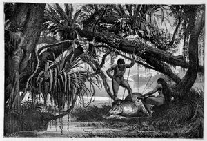 Brasilian intiaanit tappoivat tapiirin - "" Ympäri maailman"" 2. lukukausi 1874. tekijältä Unknown artist