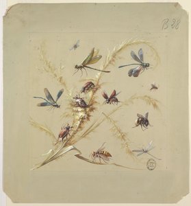 Tekstiili- tai tapettisuunnittelu: Hyönteiset tekijältä Unknown artist