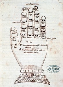 Guidonin käsi. Sivu otettu käsikirjoituksesta Lyhyt yhteenveto gregoriaanisesta laulusta, kirjoittanut Gaspar Antonio Garegnani (1700-luvun loppu - 1800-luvun alku) tekijältä Unknown artist