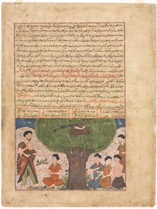 Tarina Adamista, rauha hänelle, hänen poikiensa ja jälkeläistensä, Rashid al-dinin Jami al-tavarikhista (Kroniikan kokoelma) (verso) tekijältä Unknown artist