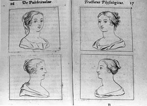 "Tractatus physiologicus de pulchritudine" -lehden eri naisprofiilit käsittelevät Ernesto Veniota (Ernestus Vaenius) puolustamassa luomakunnan kauneutta nimetöntä vastustajaa vastaan. 1612 tekijältä Unknown artist