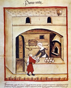 Leivän valmistus hirssillä. Valaistus lääketieteen ja dietetiikan lypsystä "" Tacuinum sanitatis"" tekijältä Unknown artist