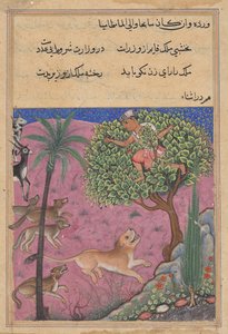 Susi ja sakaali, jotka toimivat visiirinä, yllyttävät leijonan, joka ajaa Brahmania takaa puuhun, Tuti-namasta (Papuukaijan tarinoita): Kaksikymmentäensimmäinen yö tekijältä Unknown artist
