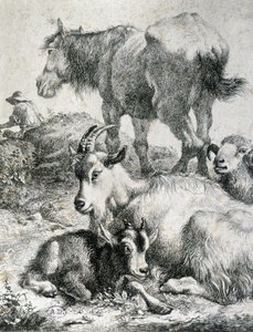 Traight hevonen, vuohi, vuohi ja pässi - kaiverrus tekijältä Unknown artist