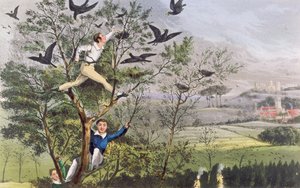 Who-Whoop! Minä tein sen - Ryöstöretki torppaan Nimrodin "Urheilijan elämästä" -teoksesta. tekijältä Unknown artist