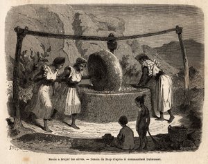 Naisten työ, myllyoliivit, yksi tärkeimmistä maataloustuotteista Djurjurassa (Algeria). Kaiverrus havainnollistamaan retkiä suureen Kabilieen, Välimeren ja Djurjuran välillä vuonna 1864, komentaja Duhoussetin "" Le tour du mo -kirjassa tekijältä Unknown artist