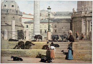 Muinainen Rooma: näkymä Rooman foorumille. Italia, 1800-luvun loppu. tekijältä Unknown photographer