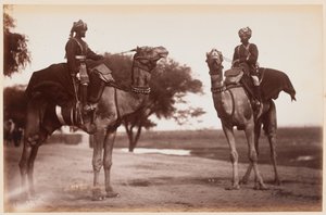 Camel Sowars Delhin harjoitusleirillä tekijältä Unknown photographer