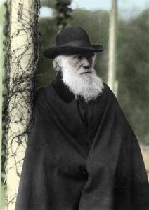 Valokuva muotokuva Charles Darwinista (1809 - 1882), englantilaisesta luonnontieteilijästä vuonna 1881. tekijältä Unknown photographer
