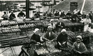 Sardiiniteollisuus, Finistère, Britttany (s/w-kuva) tekijältä Unknown photographer
