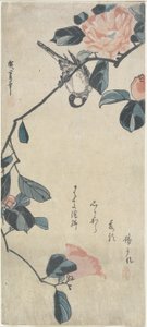 (Bird on Camellia), 1800-luvun alku