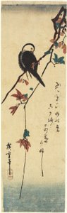 (Bird on Maple Branch), 1830-1858