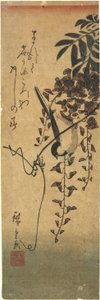 (Bird on Wisteria Branch)